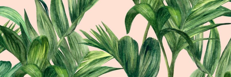 Jade Cooper-Collins banner