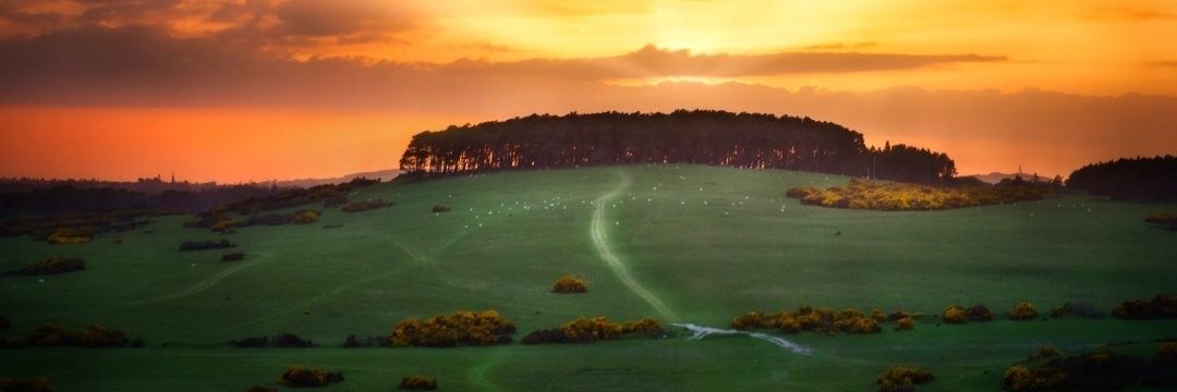 John O'Connor banner