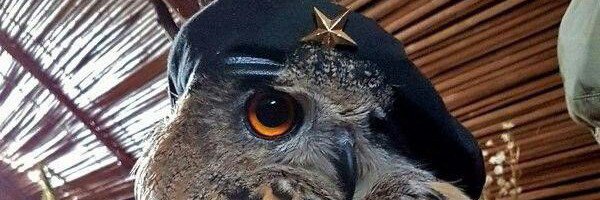 GielAman's profile banner image