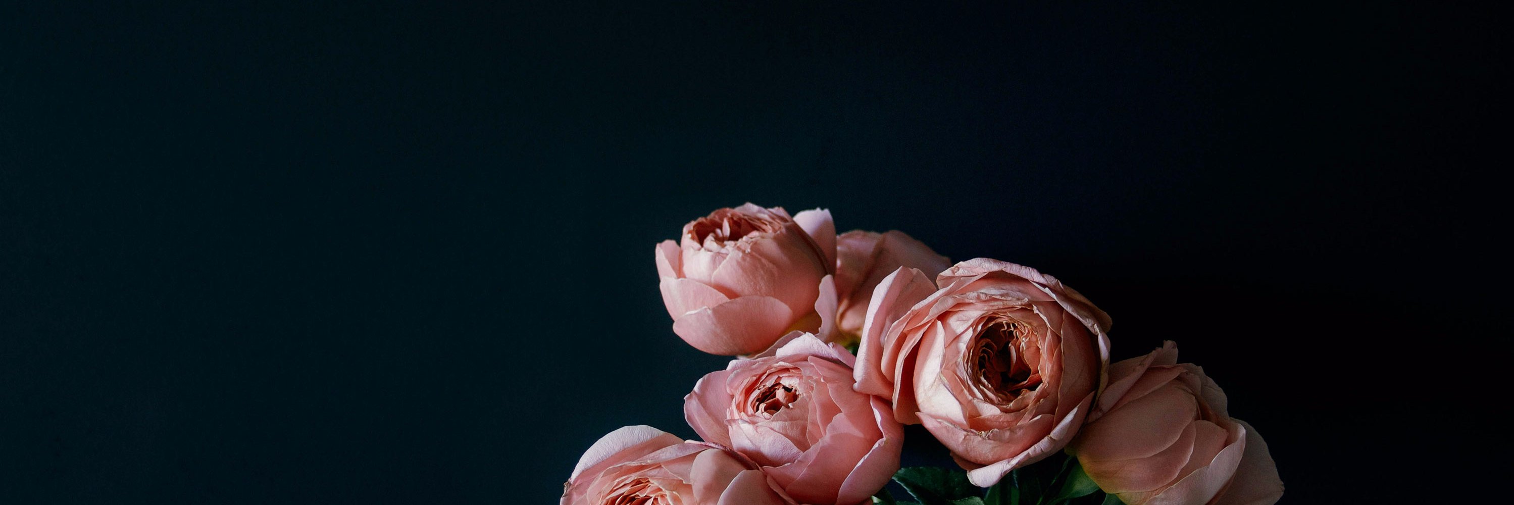 TMBCollier's profile banner image