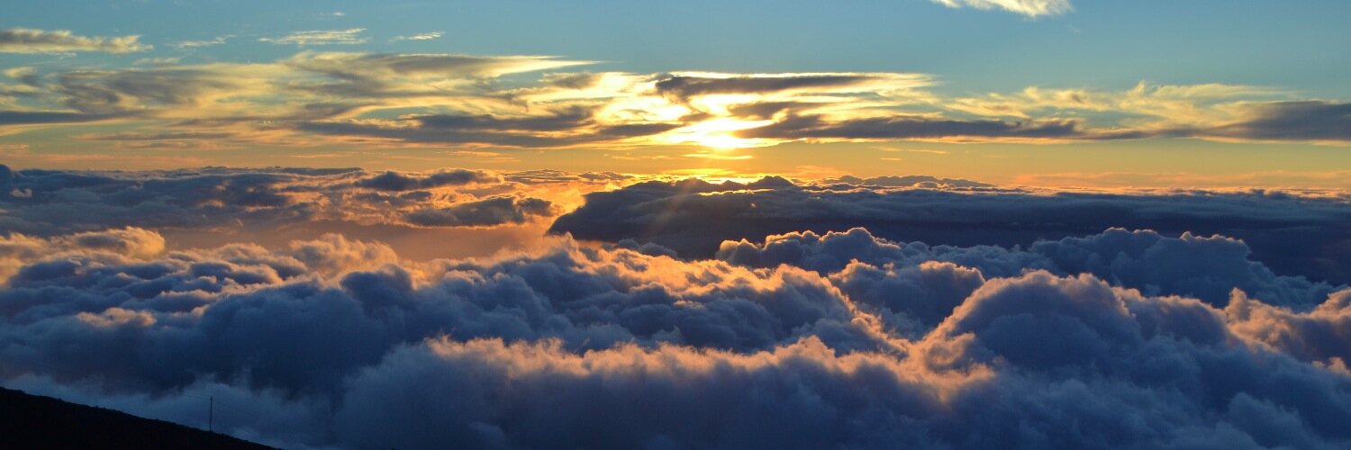 Doreen Christensen banner