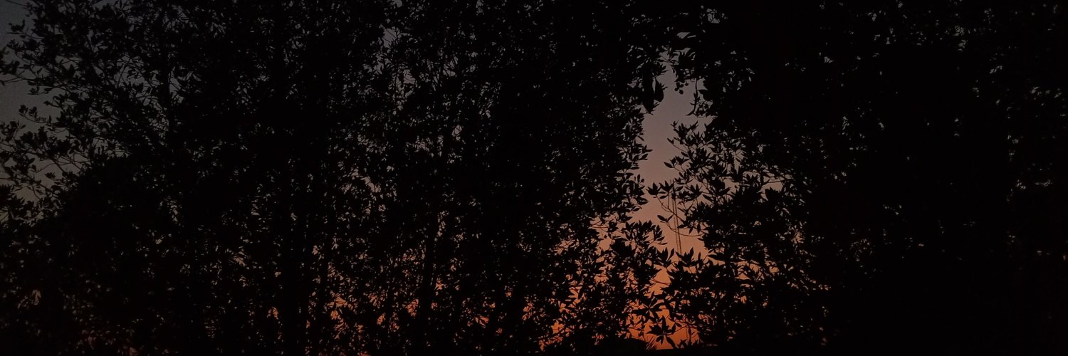 jutkew7's profile banner image