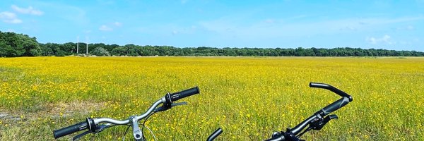 SRQTechExec Profile Banner