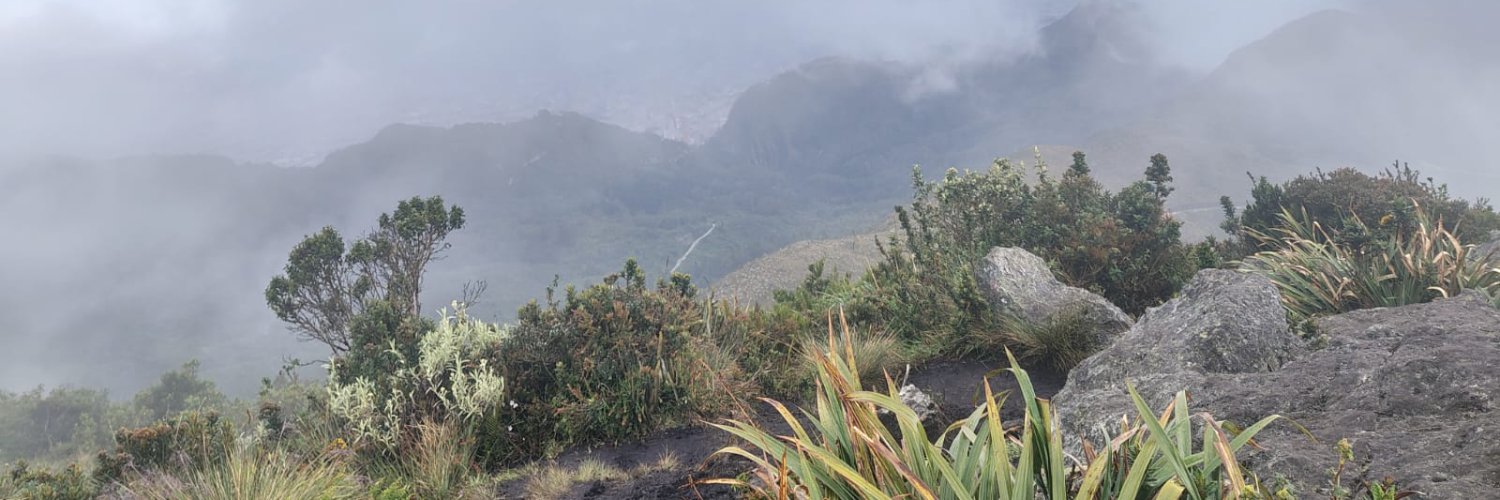 SOPHIVERA_'s profile banner image