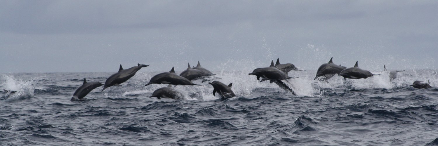 Fundación Macuáticos Colombia banner