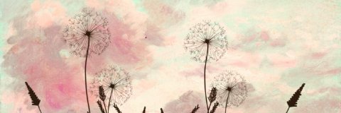 thisismeAnnn's profile banner image