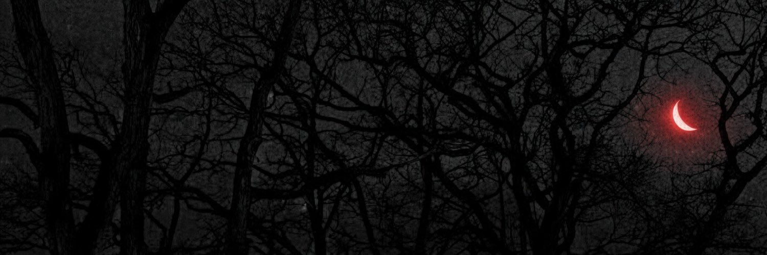 Pauloaped's profile banner image
