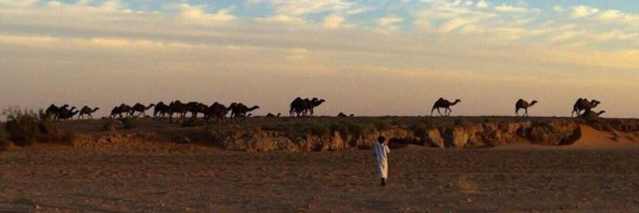 Waleed85go's profile banner image