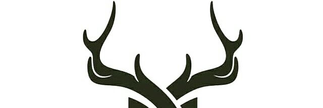 DavinRulli's profile banner image