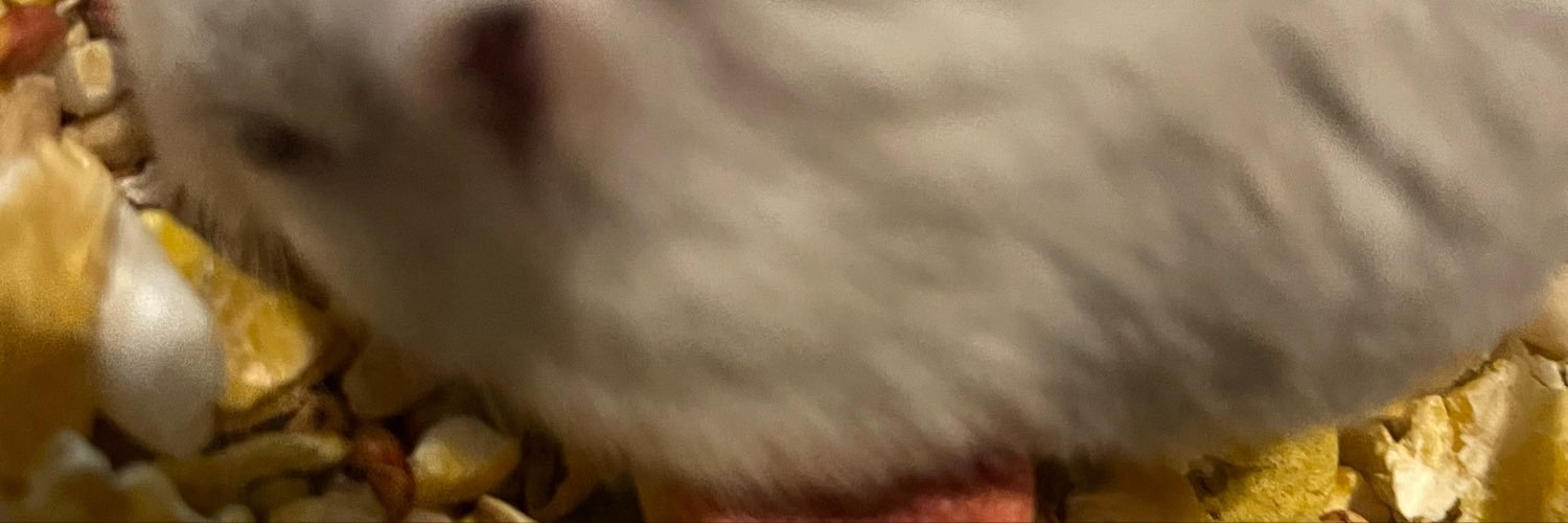 sharkubi_'s profile banner image