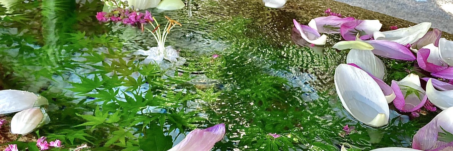 a_koto_d's profile banner image