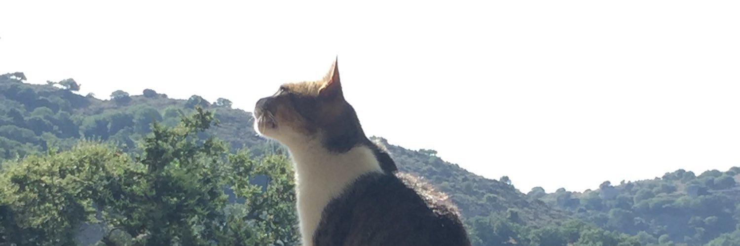 iarehannah's profile banner image