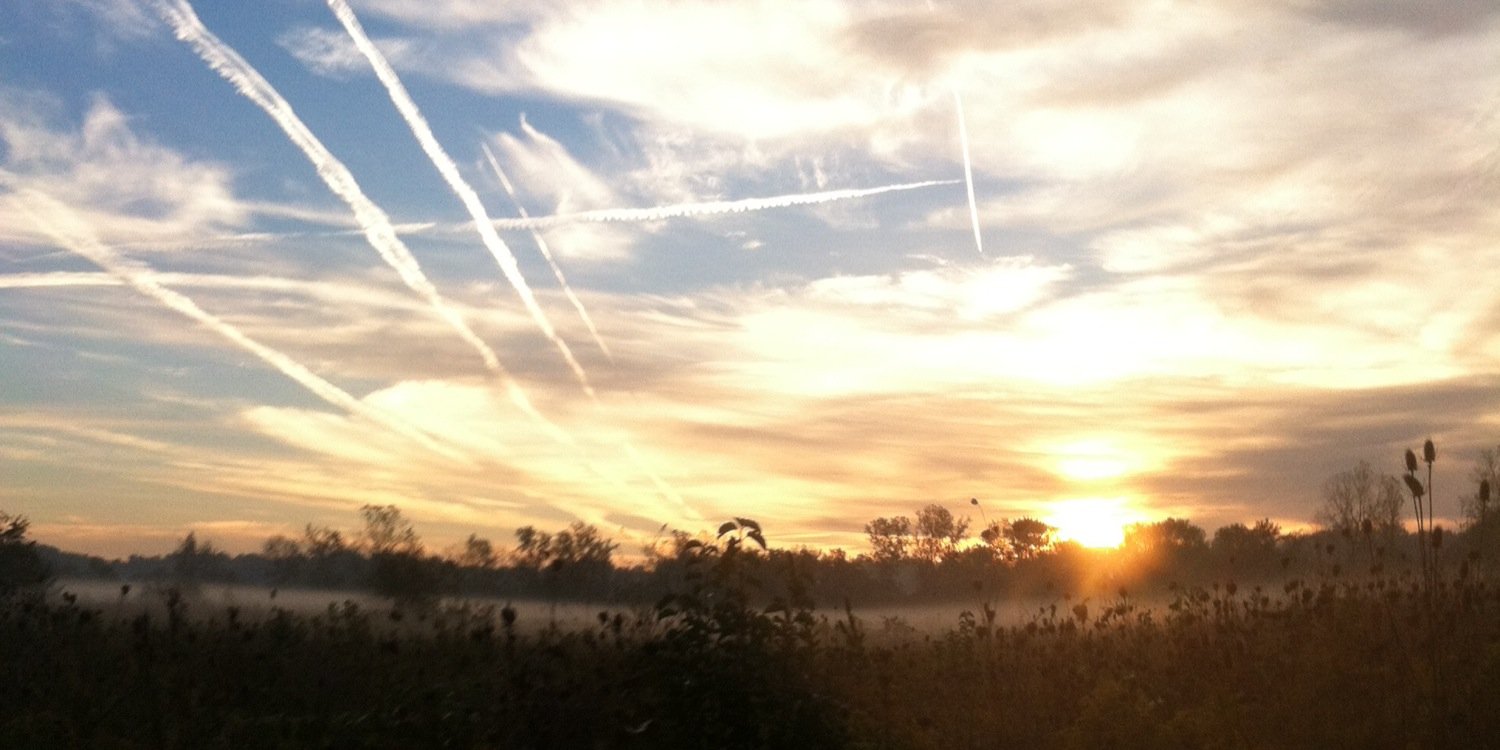 Ferda Katy Kat banner