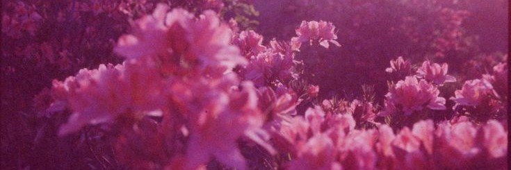 dasho00's profile banner image