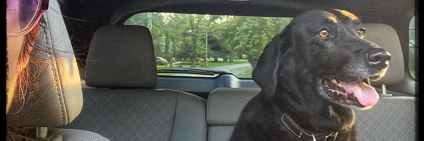 DaDi39 Profile Banner