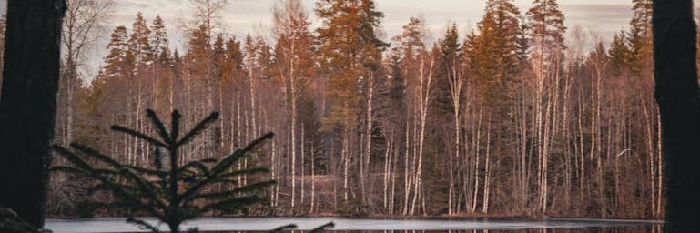 caseyte_8vftu's profile banner image