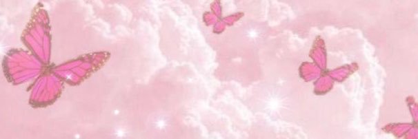 PinkPegasusA's profile banner image