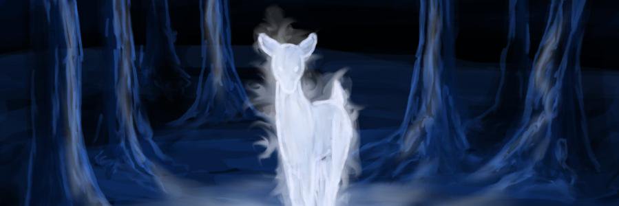 Luanccs's profile banner image