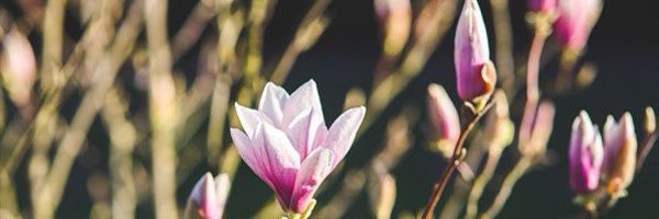 jkeyes22 Profile Banner