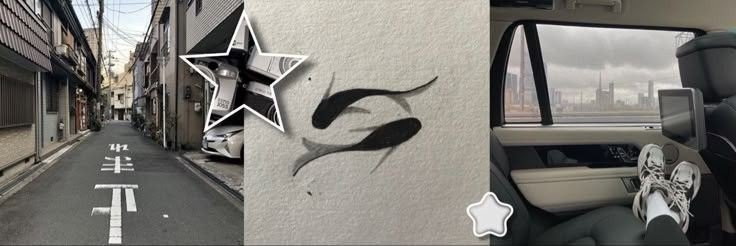 pmaxcini's profile banner image