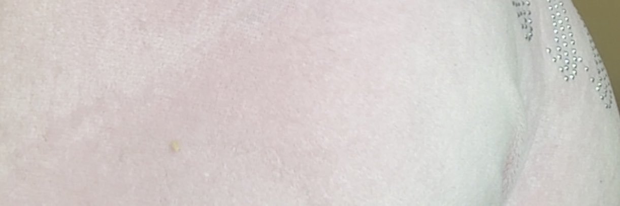 SnowbunnyRose5's profile banner image