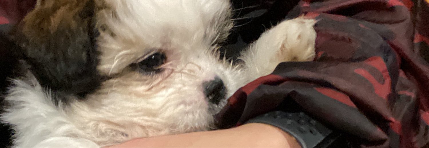 koomazan's profile banner image