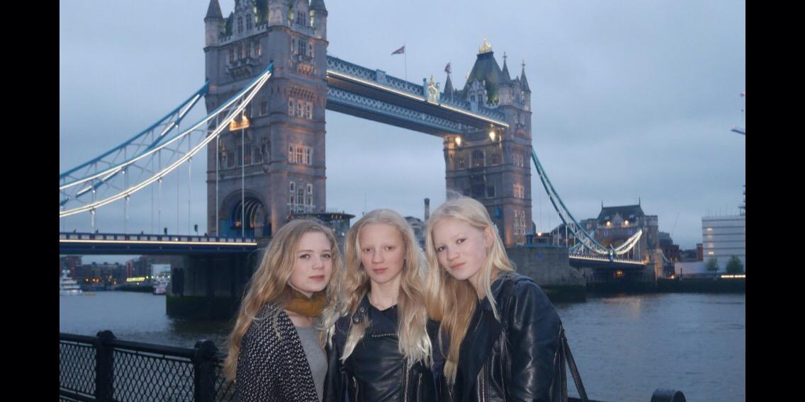 SJHulst's profile banner image