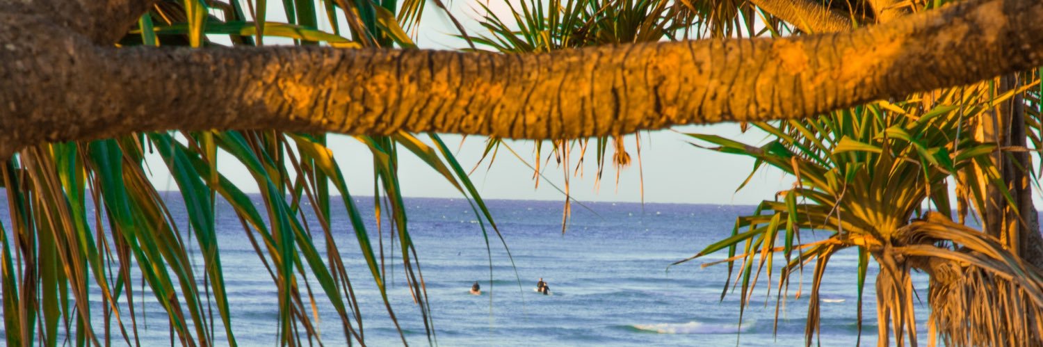 greengumtree's profile banner image