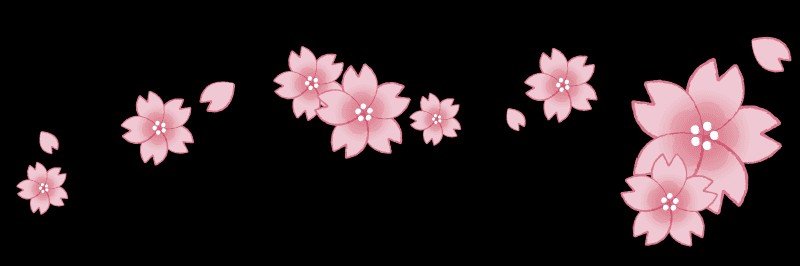 mei66cherry's profile banner image