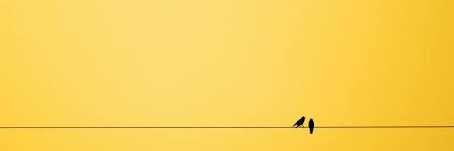 bohemiancat's profile banner image