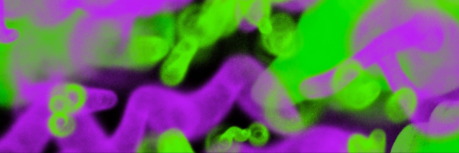 Hunter_scab's profile banner image