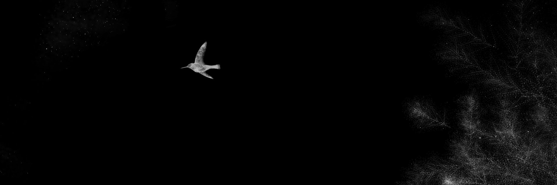 Béatrice Lartigue banner