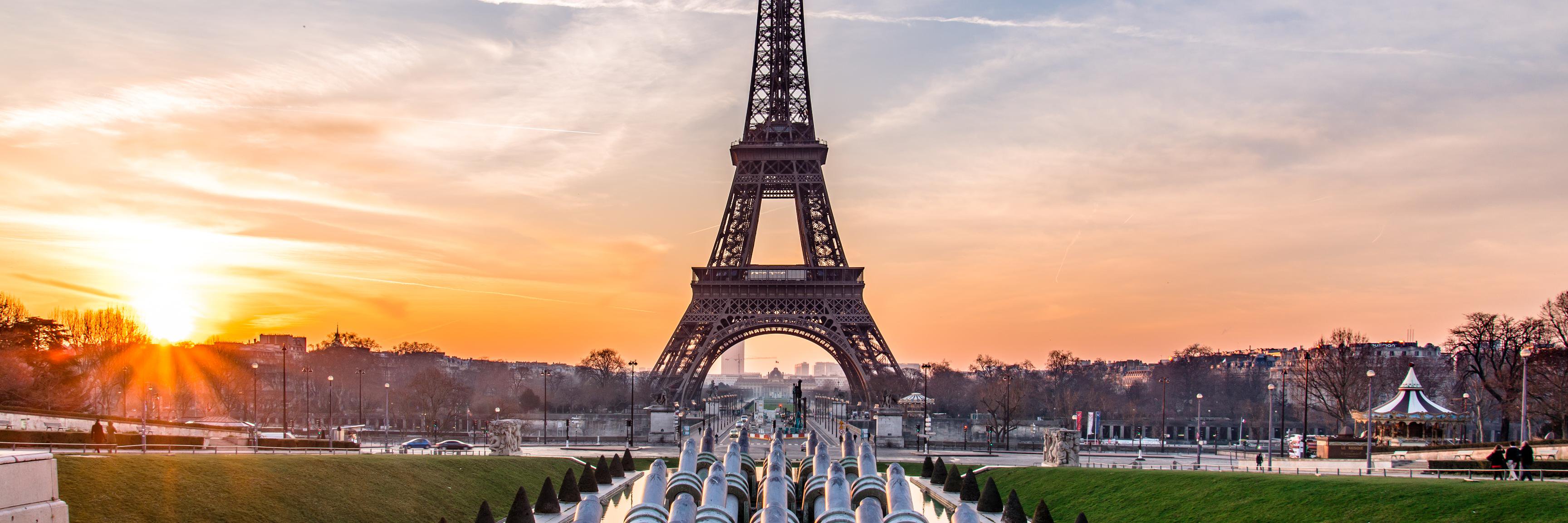 Adriana Oberto banner