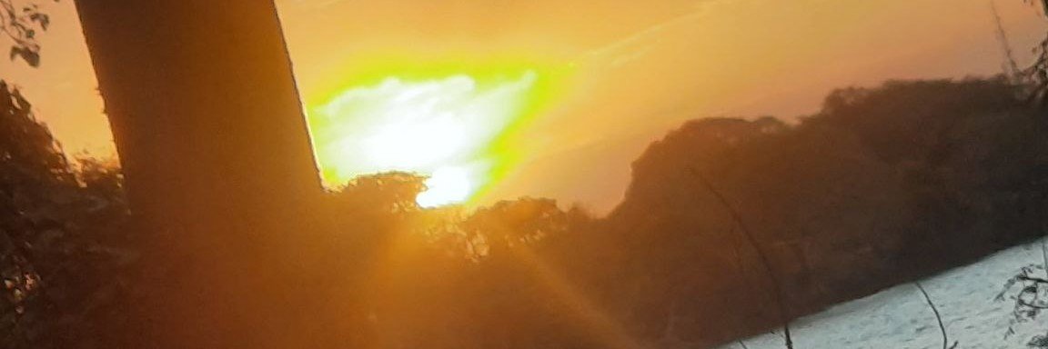 NicholasJa8up's profile banner image