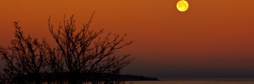 Huw_Jones's profile banner image