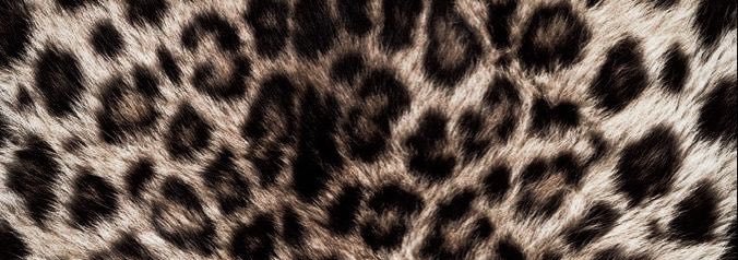 beeandhe's profile banner image