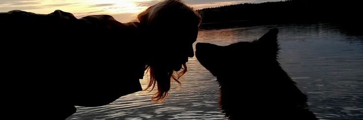 Cyntheehw's profile banner image