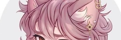 ironlarper's profile banner image