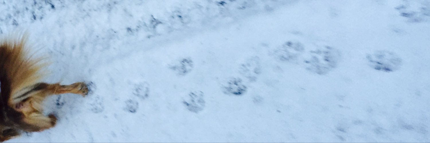 hxhbebe's profile banner image