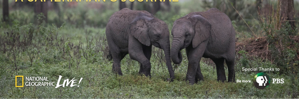 bobpoolefilms Profile Banner