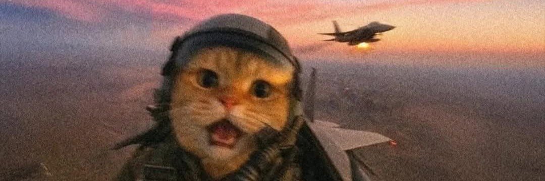 bonkfonk's profile banner image