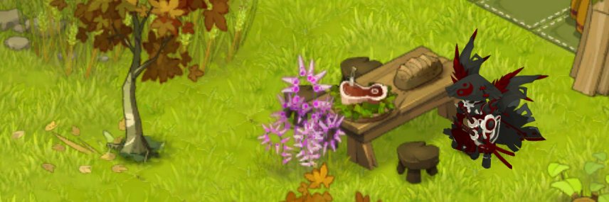 EdetaDofus's profile banner image
