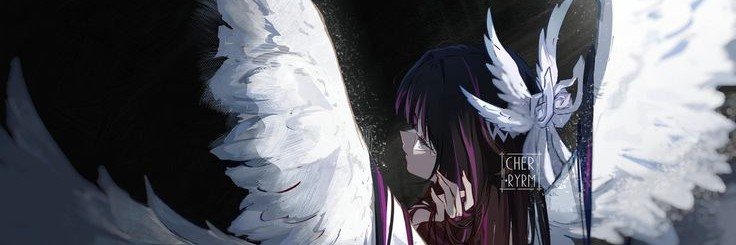 renightfalls's profile banner image
