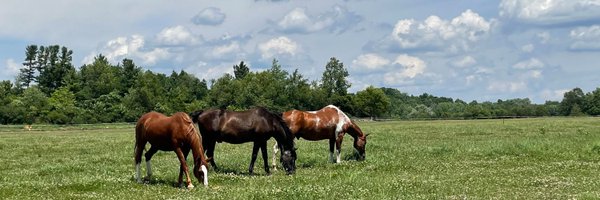 swbizcom Profile Banner