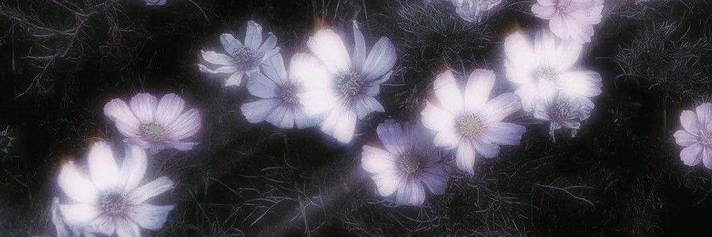 xm0o7's profile banner image