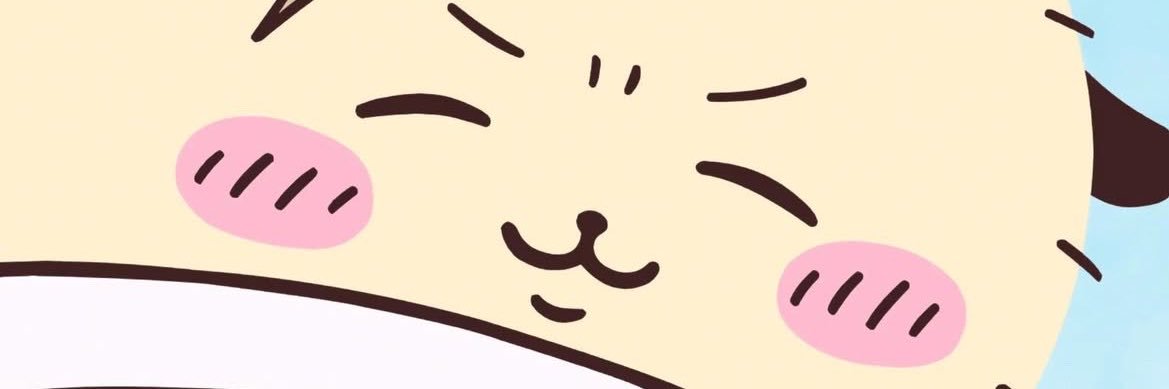 spballss's profile banner image