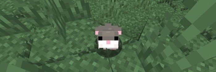 kuchu_3's profile banner image