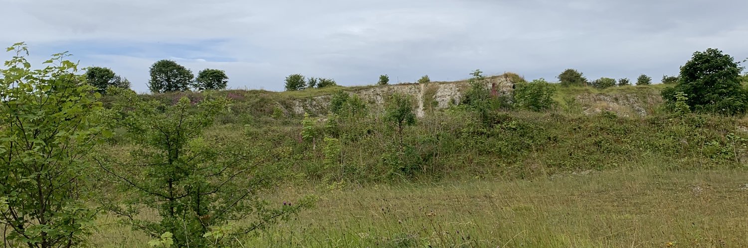 Biddleycombey's profile banner image