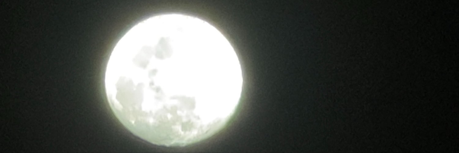 Mvlox12's profile banner image