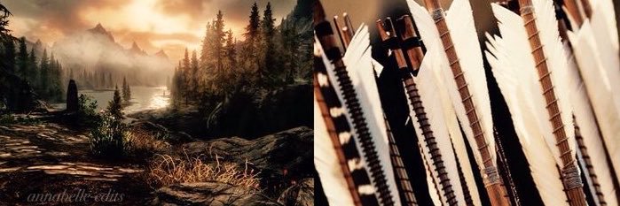 Howl_Hunt's profile banner image